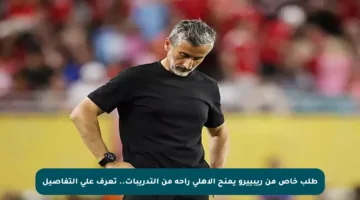 طلب خاص من ريبييرو يمنح الأهلي راحة من التدريبات.. تعرف على التفاصيل